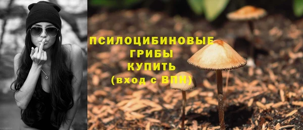 крисы Алзамай