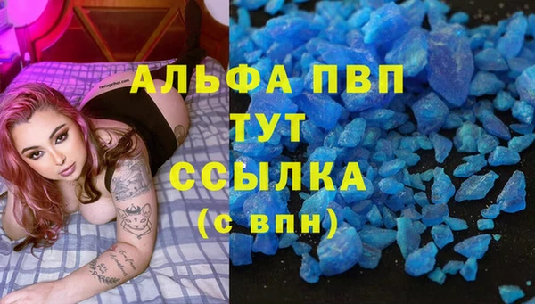 крисы Алзамай