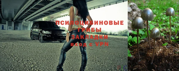 крисы Алзамай