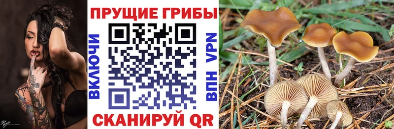 продажа наркотиков  Кремёнки  Галлюциногенные грибы ЛСД 